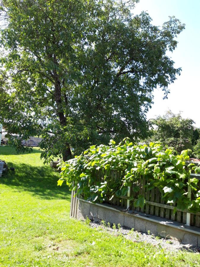Ferienwohnung Im Seidlerhof Mit Balkon Und Garten 론바크 외부 사진