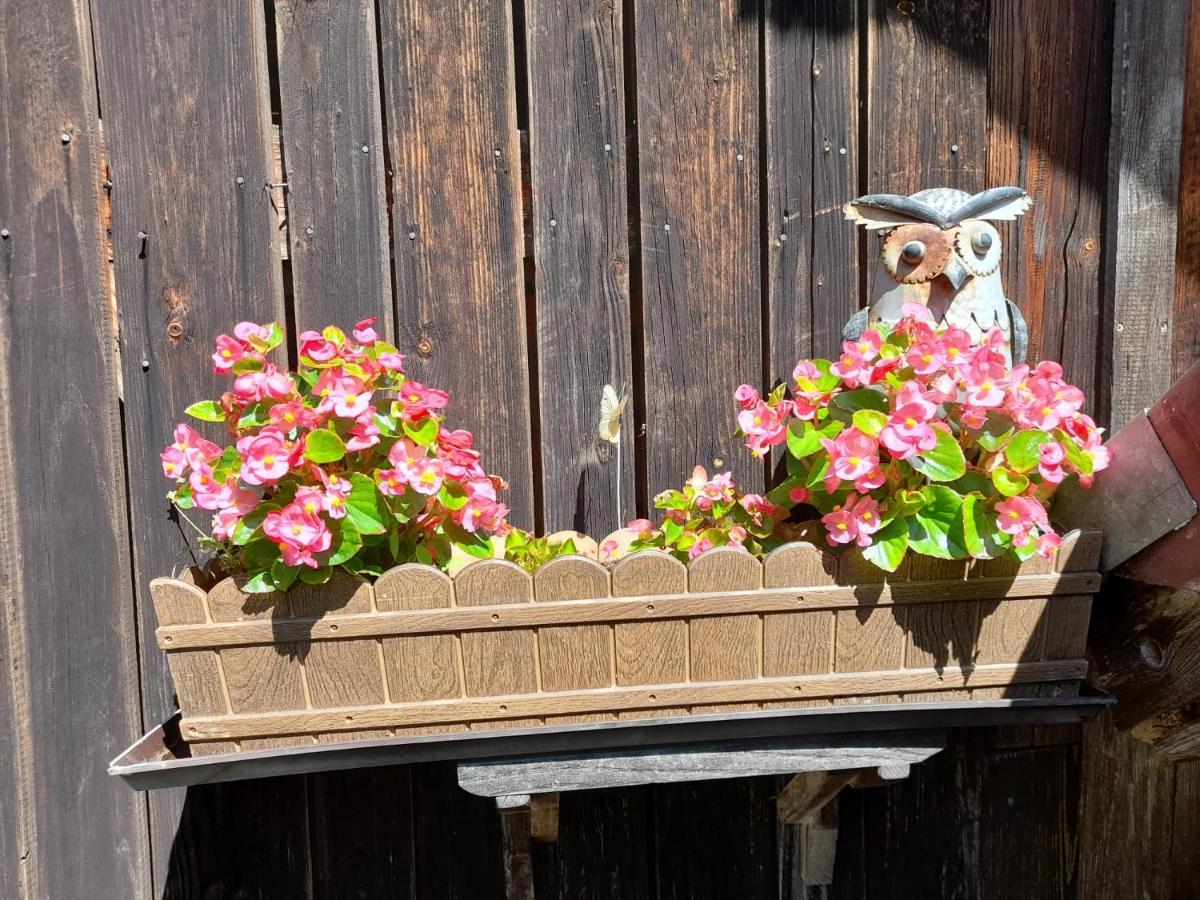 Ferienwohnung Im Seidlerhof Mit Balkon Und Garten 론바크 외부 사진