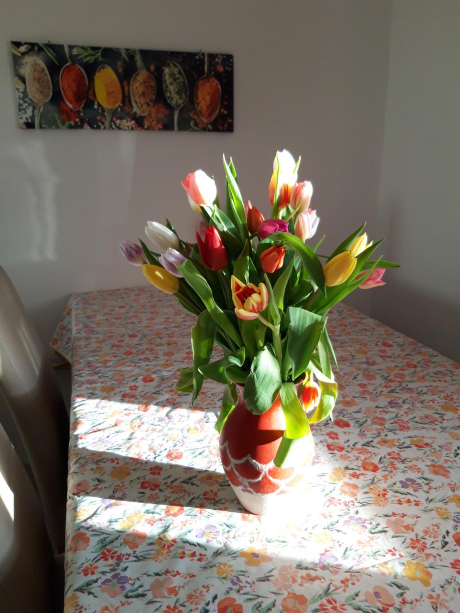 Ferienwohnung Im Seidlerhof Mit Balkon Und Garten 론바크 외부 사진